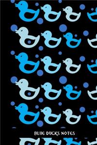 Blue Ducks Notes