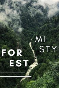 Misty Forest