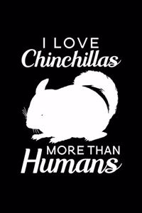 I love Chinchillas more than humans