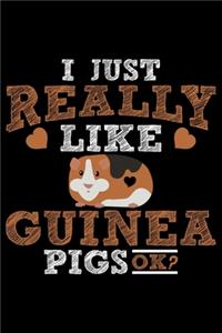 I Just Really Like Guinea Pigs Ok?