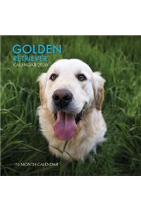Golden Retriever Calendar 2020