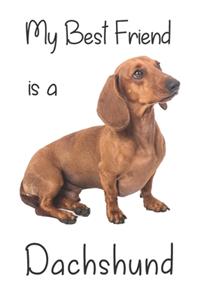 My best Friend is a Dachshund