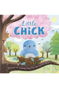 Nature Stories: Little Chick