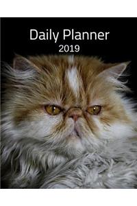 Planner 2019: Persian Cat