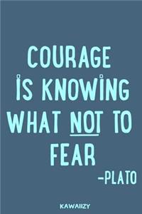 Courage Is Knowing What Not to Fear - Plato