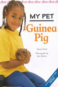 MY PET GUINEA PIG