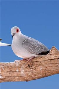 Doves Notebook