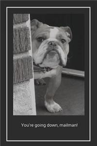 You're Going Down, Mailman!: Featuring media sensation JAXSONthebulldog. Lined writing notebook, including a funny and inspirational quote. For School, the Office, or Home! (6 x