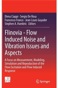 Flinovia - Flow Induced Noise and Vibration Issues and Aspects