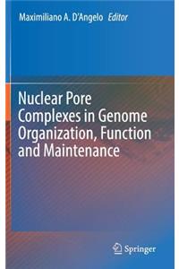 Nuclear Pore Complexes in Genome Organization, Function and Maintenance