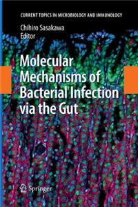 Molecular Mechanisms of Bacterial Infection Via the Gut