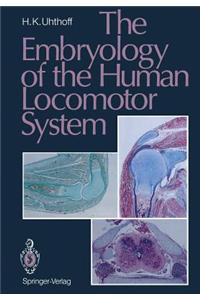 The Embryology of the Human Locomotor System