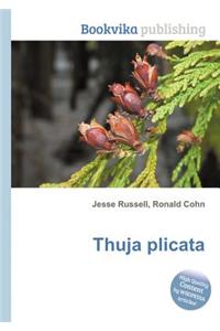 Thuja Plicata