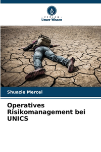 Operatives Risikomanagement bei UNICS