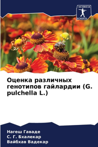 Оценка различных генотипов гайлардии (G. pulchella L.)