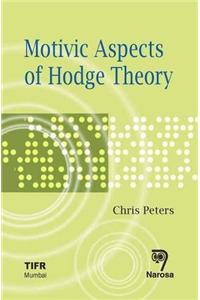 Motivic Aspects of Hodge Theory