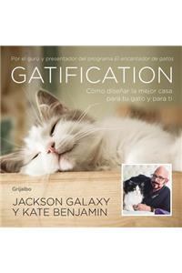 Gatification: Cómo diseñar la mejor casa para tu gato y para ti / Catification