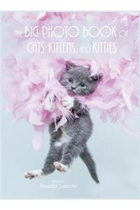 The Big Photo Book of Cats, Kittens, and Kitties (Hardcover)