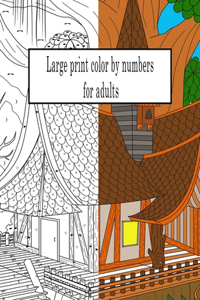 Large print color by numbers for adults