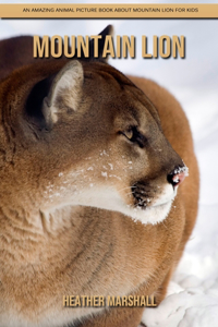 Mountain Lion