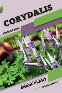 Corydalis