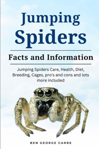 Jumping Spider