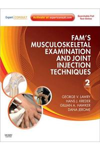 Fam's Musculoskeletal Examination and Joint Injection Techniques E-Book