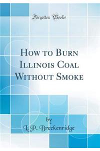 How to Burn Illinois Coal Without Smoke (Classic Reprint)