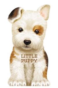Little Puppy