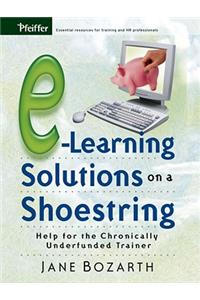 E-Learning Solutions on a Shoestring