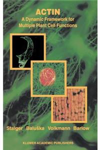 Actin: A Dynamic Framework for Multiple Plant Cell Functions