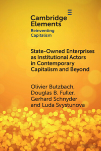 State-Owned Enterprises as Institutional Actors in Contemporary Capitalism and Beyond
