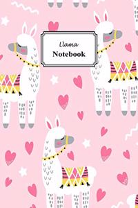 Llama Notebook