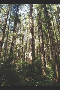 in search of midnight