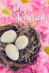 My Journal (Bird nest)