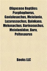 Oligocene Reptiles