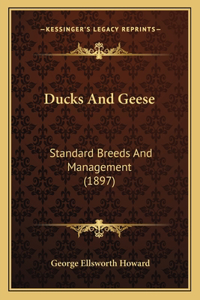 Ducks And Geese
