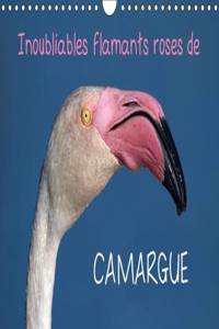 Inoubliables Flamants Roses De Camargue 2017
