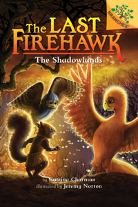 Shadowlands: A Branches Book (the Last Firehawk #5)