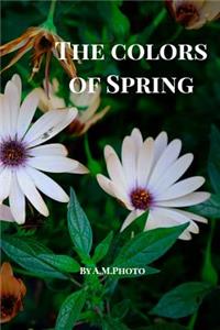 The Colors of Spring