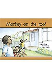 Monkey on the Roof