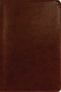 ESV New Testament with Psalms and Proverbs