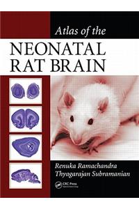 Atlas of the Neonatal Rat Brain