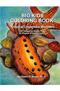 Big Kids Coloring Book