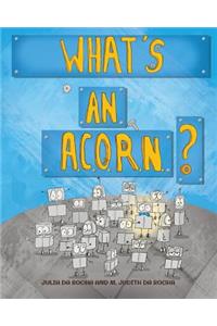 What's an A.C.O.R.N.?