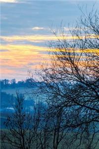 A Beautiful Sunset Through the Trees Journal