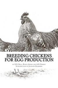Breeding Chickens For Egg Production