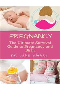 Pregnancy: The Ultimate Guide to Pregnancy and Birth