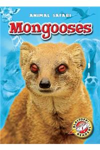 Mongooses