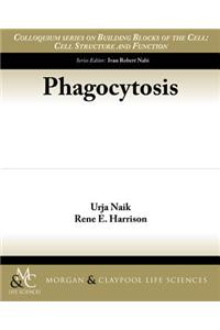 Phagocytosis